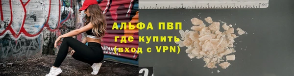 гидра Алзамай