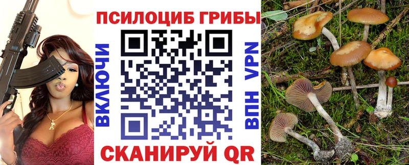 Псилоцибиновые грибы Psilocybe  купить наркоту  Кола 